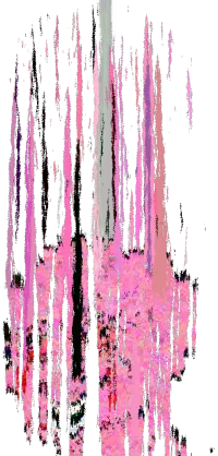 ANNIHILATION sentiment state
